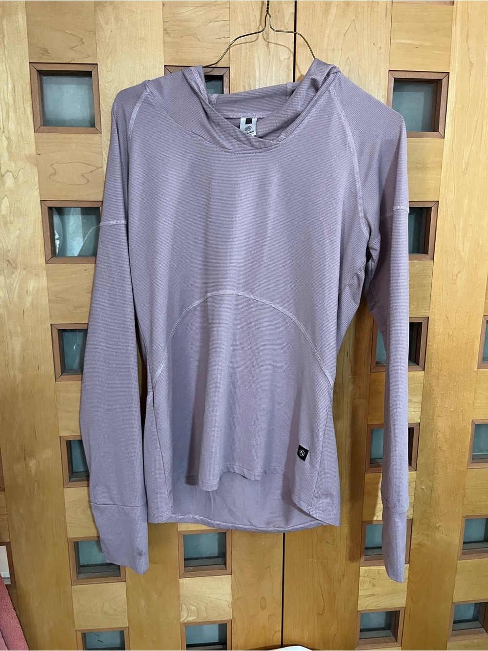 Flylow Light Mauve Long Sleeve Hoodie Top, L